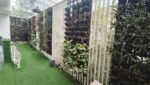 Builder floors in Gurgaon DLF 4, Builder Floor in Dlf Phase 4 Gurgaon, Independent Floors in Gurgaon DLF 4, DLF 4 gurgaon builder floor, builder floor in DLF 4 gurgaon, low rise floors in gurgaon DLF 4, DLF 4 builder floor